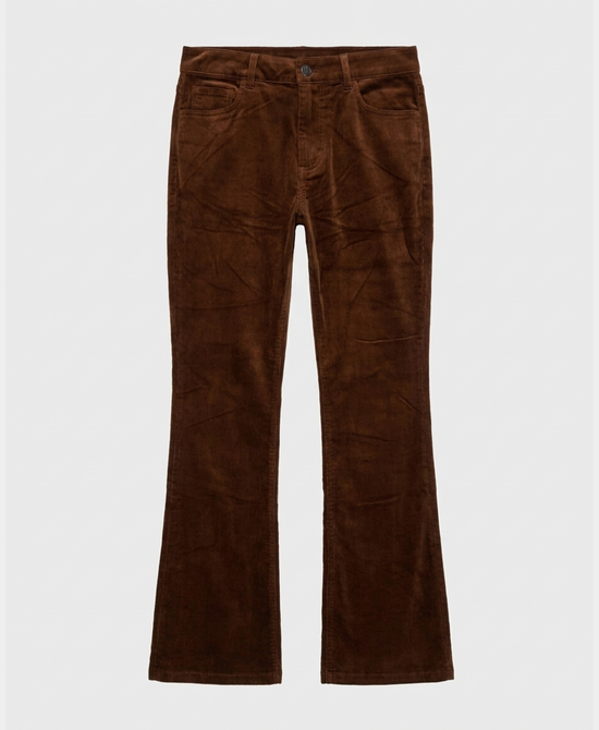 
Pinwale Corduroy Pants in BROWN view 2